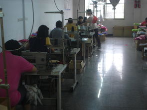 金華市婺城區麗華日用品廠 專注品質，服務生活的個體經營典范